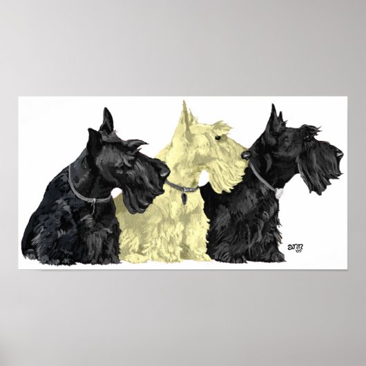Poster Schotse Terrier (Voorkant)