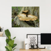 Poster Schuif Fungus op de boomstam (Thuiskantoor)