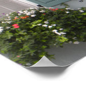 Poster Seagreen Shutters (Hoek)