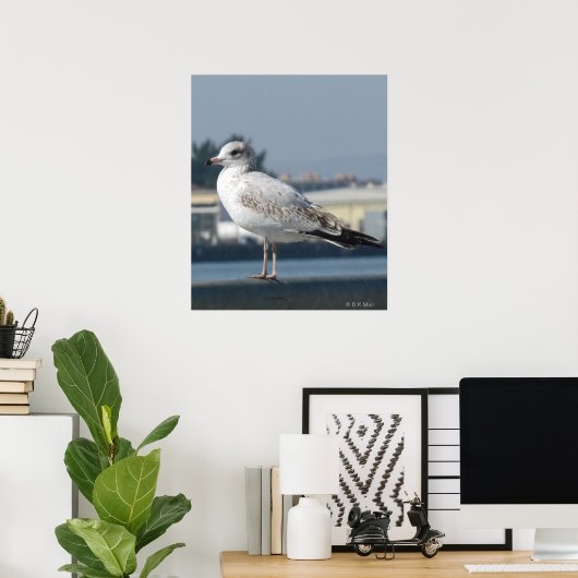 Poster - Seagull op horloge (Thuiskantoor)