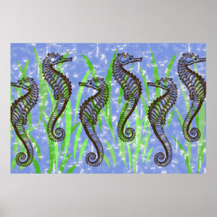 Poster SEAHORSES