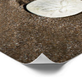 Poster Seashell (Hoek)