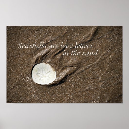 Poster Seashell (Voorkant)