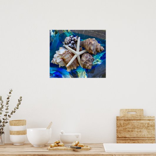 Poster Seashell (Keuken)