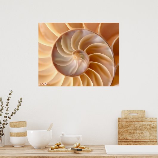 Poster Seashell Architecture (Keuken)
