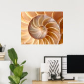 Poster Seashell Architecture (Thuiskantoor)