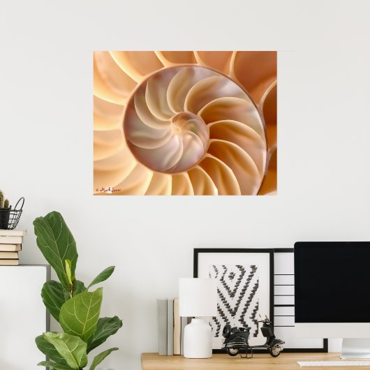 Poster Seashell Architecture (Thuiskantoor)