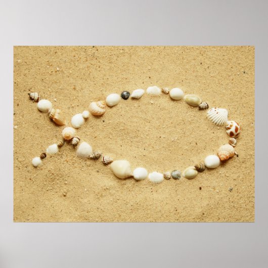 Poster Seashell Ichthys (Voorkant)