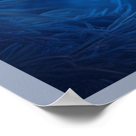 Poster Secrets of the Fox in the Woods (Hoek)