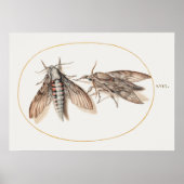 Poster sectie illustratie (Voorkant)