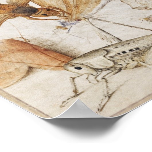 Poster  sectie illustratie (Hoek)