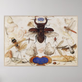 Poster  sectie illustratie (Voorkant)