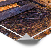 Poster-sequoia's Poster (Hoek)