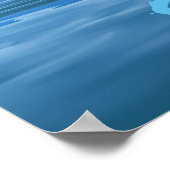 Poster Shark Week (Hoek)