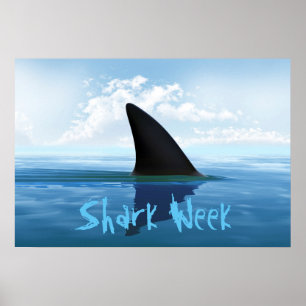 Poster Shark Week