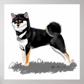 Poster Shiba inu (Voorkant)