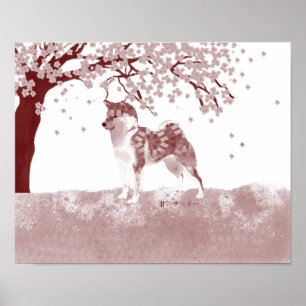 Poster Shiba inu tinta china