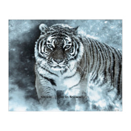 Poster Siberian Tiger Snowstorm Acryldruk Acryl Muurkunst