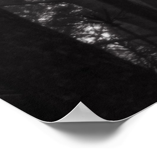 Poster - Silver Silence (Hoek)