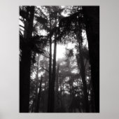 Poster - Silver Silence (Voorkant)