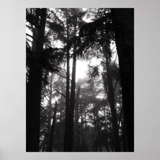 Poster - Silver Silence (Voorkant)