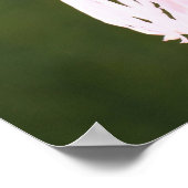 Poster Sint-Francis (Hoek)