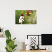 Poster Sint-Francis (Thuiskantoor)