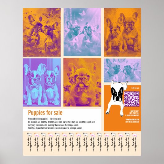 Poster sjabloon voor puppy's te koop 6 afbeeldinge (Voorkant)