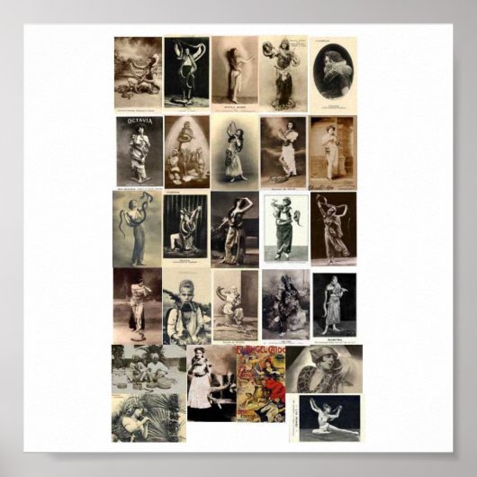 Poster--slangen Poster (Voorkant)