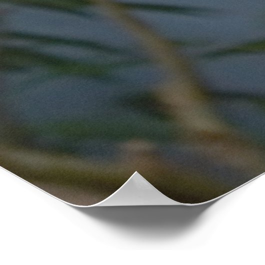 Poster Slotfoto (Hoek)