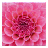 Poster Sluiten Roze ventilator (Voorkant)