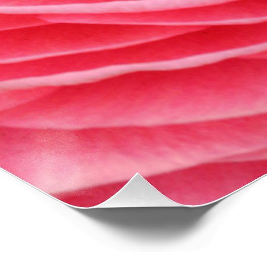 Poster Sluiten Roze ventilator (Hoek)