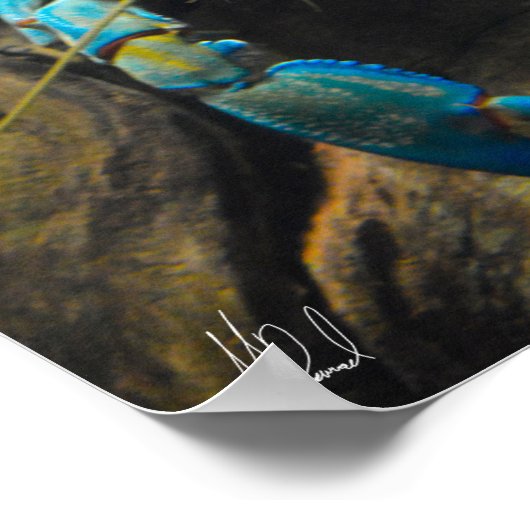 Poster Smooth Yabby ondertekend (Hoek)