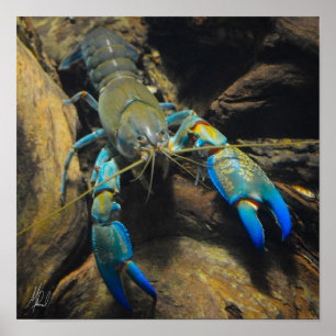 Poster Smooth Yabby ondertekend