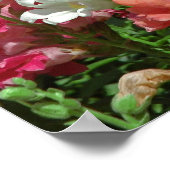 Poster Snapdragon Festival (Hoek)