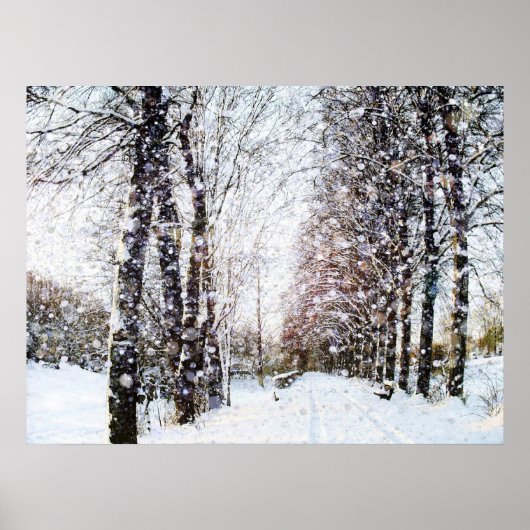 Poster sneeuwlandschap (Voorkant)