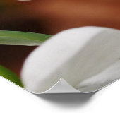 Poster Snowdrop Flowers (Hoek)