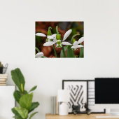 Poster Snowdrop Flowers (Thuiskantoor)