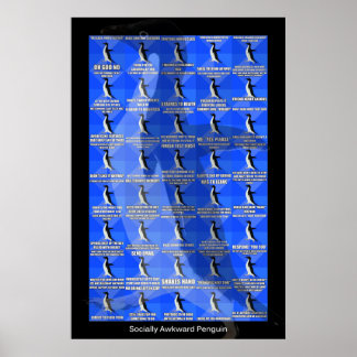 Poster sociaal-Awkward Penguin