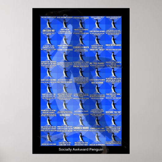 Poster sociaal-Awkward Penguin (Voorkant)