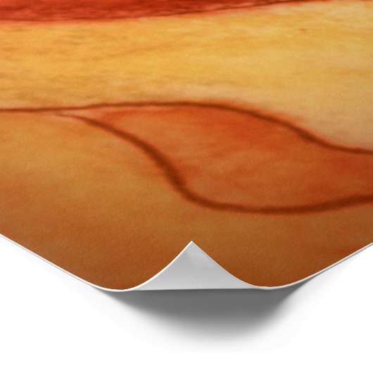 Poster-Sonoran-woestijnzonsondergang Poster (Hoek)