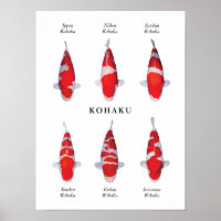 Poster soort van Japanse koi karper: Kohaku