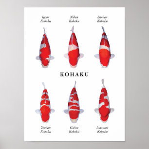 Poster soort van Japanse koi karper: Kohaku