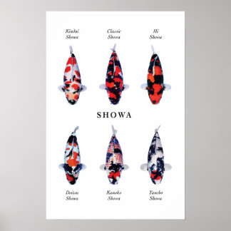 Poster soorten Japanse koi vis: Showa