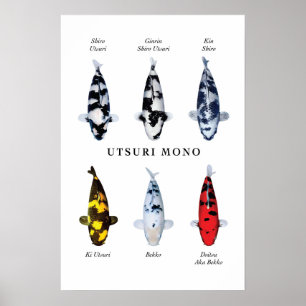 Poster soorten Japanse koi vis: Utsurimono
