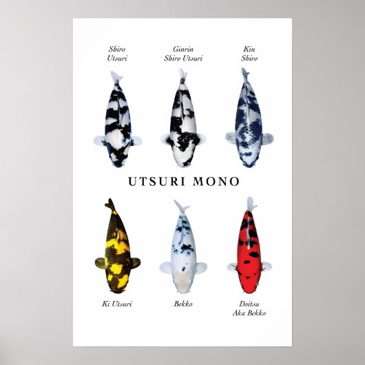 Poster soorten Japanse koi vis: Utsurimono (Voorkant)
