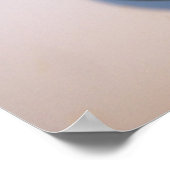 Poster Spider Ball Python (Hoek)