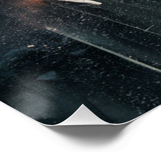 Poster Spider Terror (Hoek)