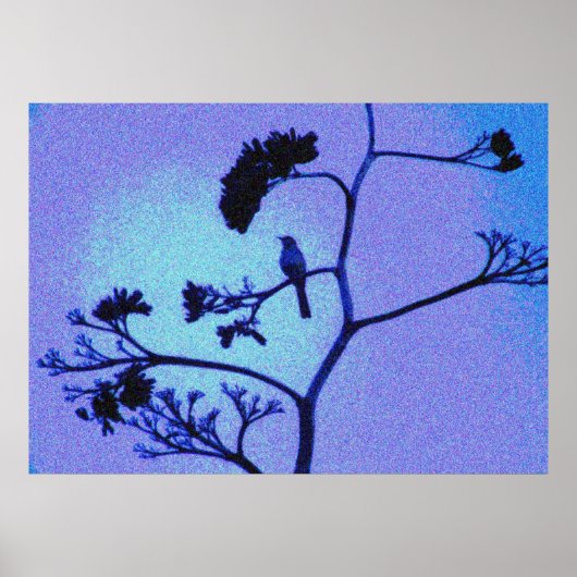 poster spotvogel (Voorkant)