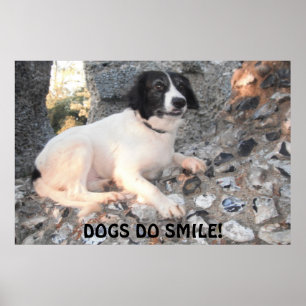 Poster Sprollie op bezoek bij Castle Smiling